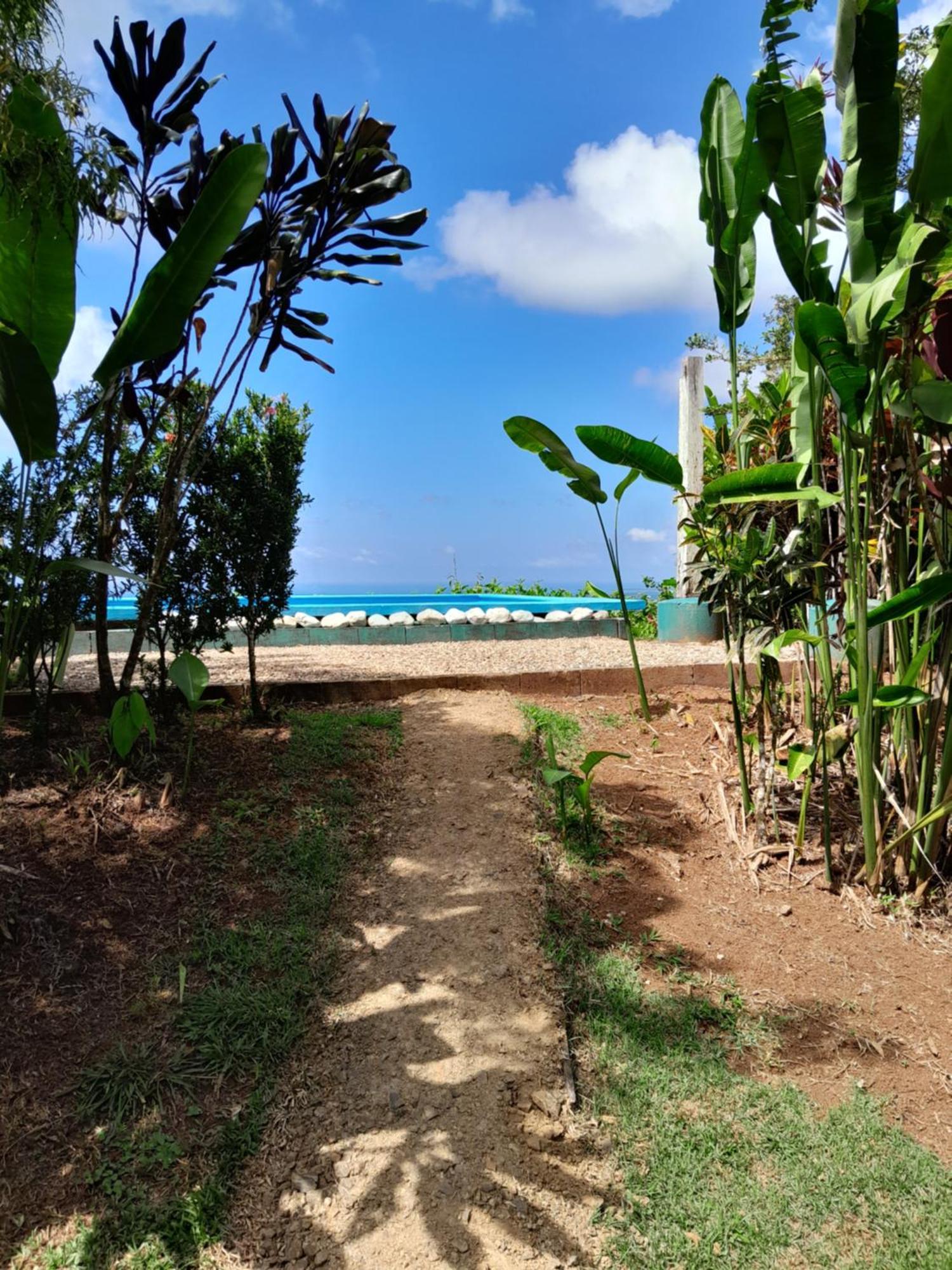 Finca La Puesta del Sol Miramar de Sierpe Habitación foto