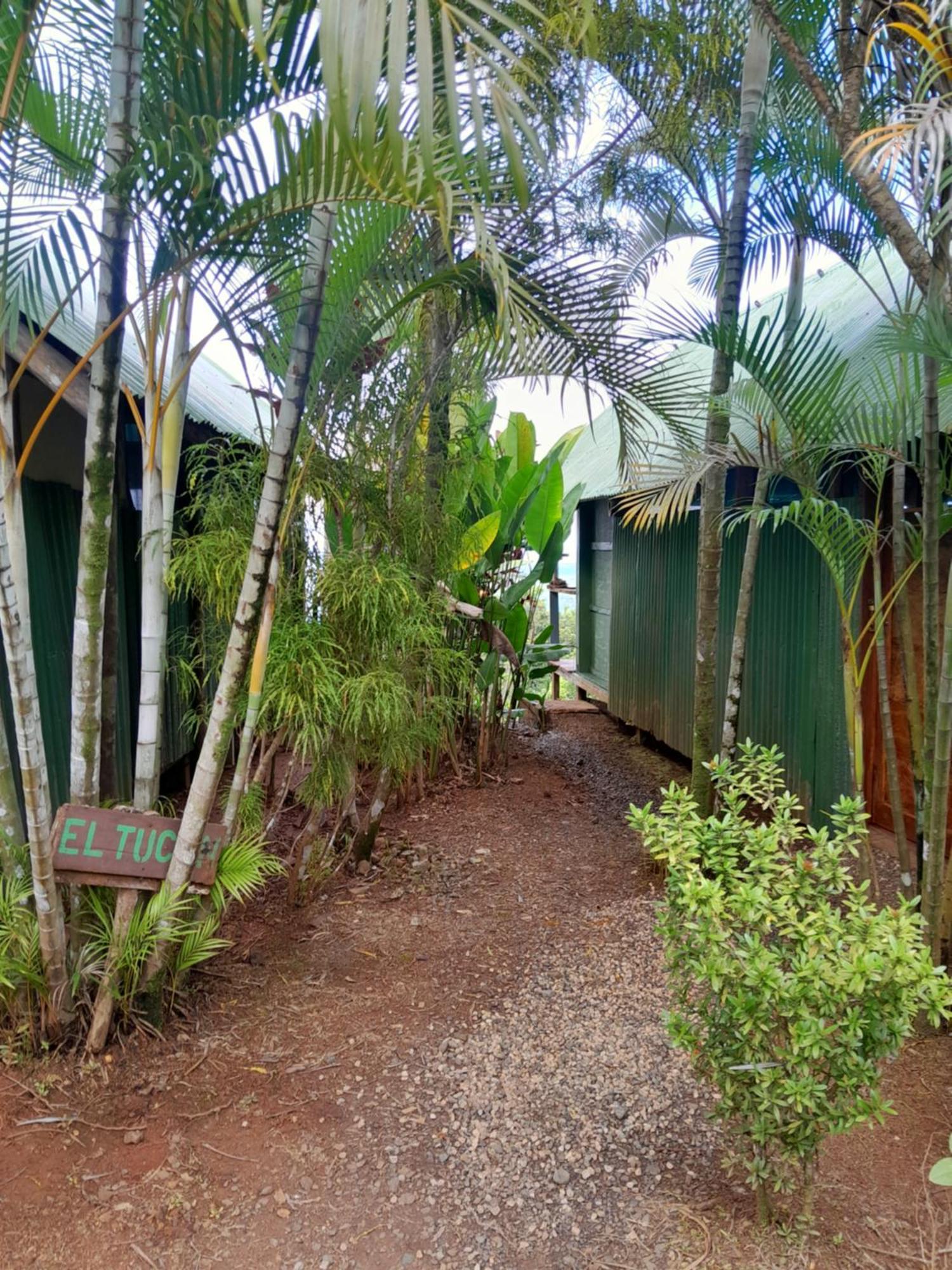 Finca La Puesta del Sol Miramar de Sierpe Habitación foto